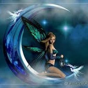 Meet your Posher, Penelope